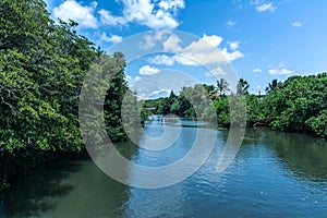 Anahulu Stream in Haleiwa, Oahu, Hawaii