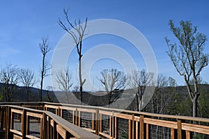 Anakeesta Mountaintop Park in downtown Gatlinburg, Tennessee