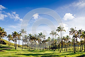 Anakena beach and Ahu Nau Nau on Easter Island