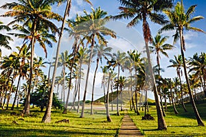 Anakena beach and Ahu Nau Nau on Easter Island photo