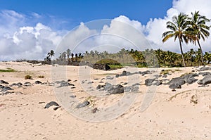 The Anakena Beach in Easter Island, Chile