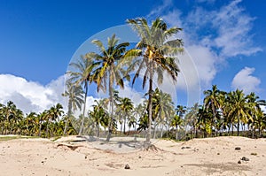 The Anakena Beach in Easter Island, Chile