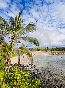 Landscape of Anakena on Easter Island, Chile