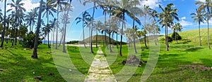 Anakena Beach Tropical Panoramic Landscape