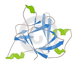 Anakinra rheumatoid arthritis drug, molecular structure. Recombinant form of human interleukin-1 (IL-1) receptor antagonist