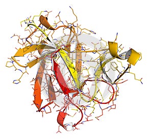 Anakinra rheumatoid arthritis drug, molecular structure. Recombinant form of human interleukin-1 (IL-1) receptor antagonist