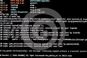 Linux server administrator. Analysis of authentication log files in an operating system. Ssh photo