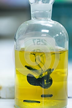 Analysis of Dissolved OxygenOD,BOD and Alkalinity.