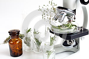 Analysis of food pesticides check rosemary in laboratory