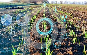 analysis and processing of data on plant growth in the field. Scheduling and regulation of production to increase harvest. Field s