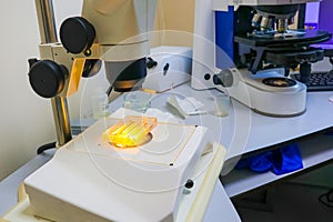 analysis under a microscope. working in the laboratory
