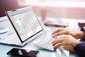 Analyst Auditor Using Electronic Spreadsheet