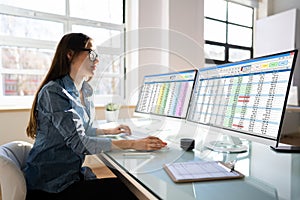 Analyst Employee Using Spreadsheet