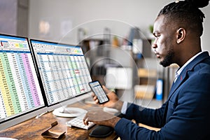 Analyst Employee Using Spreadsheet