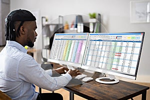 Analyst Employee Using Spreadsheet