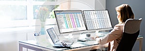 Analyst Employee Working With Spreadsheet