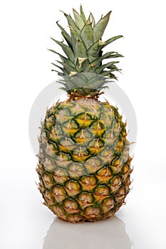 Ananas