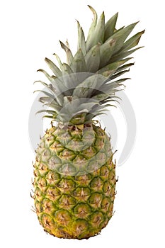 Ananas