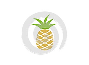 Ananas fresh fruit for logo design