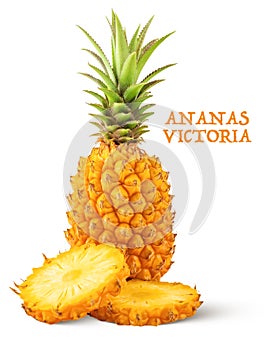 Ananas Victoria Ã  maturitÃ© entier avec deux tranches sur fond blanc