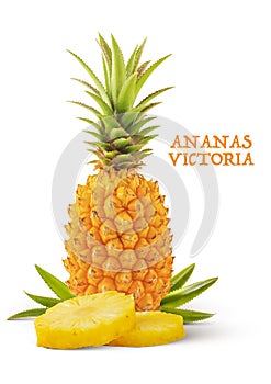 Ananas Victoria Ã  maturitÃ© entier avec deux tranches sur fond blanc