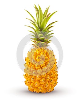 Ananas Victoria Ã  maturitÃ© entier sur fond blanc