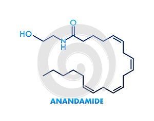 Anandamide concept chemical formula icon label, text font vector illustration