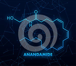 Anandamide concept chemical formula icon label, text font vector illustration