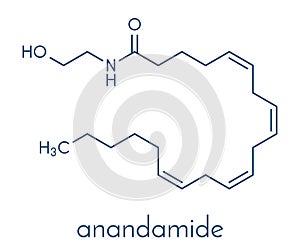 Anandamide endogenous cannabinoid neurotransmitter molecule. Skeletal formula.