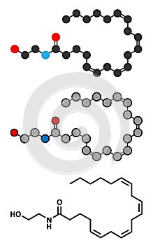 Anandamide endogenous cannabinoid neurotransmitter molecule. Stylized 2D renderings and conventional skeletal formula. photo