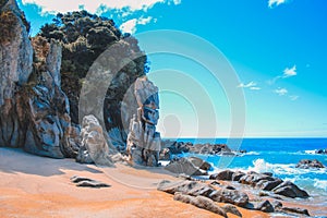 Anapai Beach at Abel Tasman National Park, South Island, New Zealand