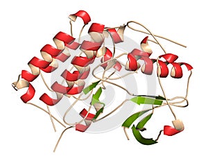 Anaplastic lymphoma kinase (ALK, tyrosine kinase domain) protein. Shown in complex with the inhibitor crizotinib. 3D rendering photo