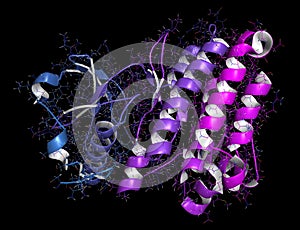 Anaplastic lymphoma kinase (ALK, tyrosine kinase domain) protein. Shown in complex with the inhibitor crizotinib. 3D rendering