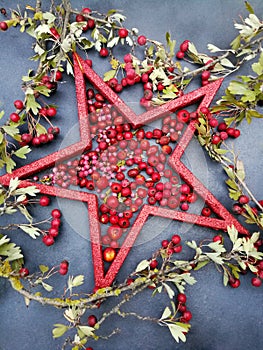 Anarchic Xmas card with red star and berries photo