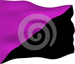 Anarchist Feminism Flag