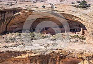 Anasazi Cliff Dwelling Ruin, Butler Wash, Bears Ears National Monument, Utah