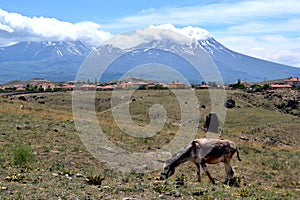 Anatolia photo