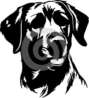 Anatolian Shepherd Dog Black Silhouette Generative Ai