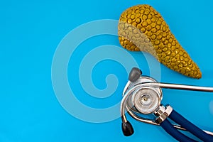 Anatomic study model of pancreas gland and stethoscope on blue background occupy half of photo, in second half - empty space for t photo