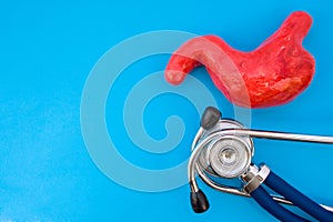 Anatomic study model of stomach or gastric and stethoscope on blue background occupy half of photo, in second half - empty space f photo