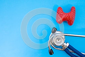 Anatomic study model of thyroid gland and stethoscope on blue background occupy half of photo, in second half - empty space for ti photo