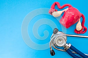 Anatomic study model of uterus with ovaries and stethoscope on blue background occupy half of photo, in second half - empty space photo