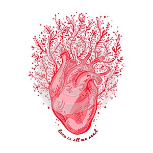 Anatomical heart with flowers. tagline love is all we need. Valentines day card. Vector illustration, elements for