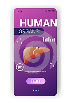 anatomical liver icon human body internal organ anatomy biology healthcare medical concept smartphone screen mobile app