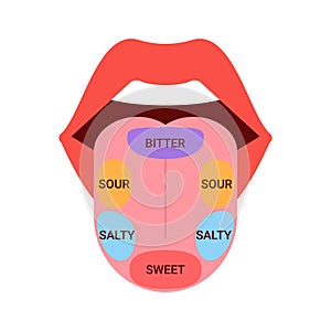 Anatomical map of tongue with parts sense taste. Taste buds, structure sections on tongue bitter, salty, sour, sweet