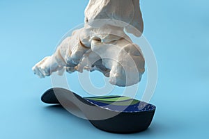 Anatomical model of the bones of the human foot wearing an orthopedic insole concept for Metatarsal health and treatment, Posture