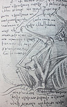 Anatomical notes. Animal. Manuscripts of Leonardo da Vinci. Code K Folio 109 recto in the vintage book Leonardo da Vinci by A.L.