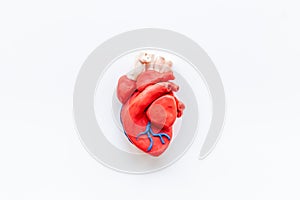 Anatomical plastiline heart top view. Cardioigy and heart health concept