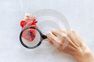 Anatomical plastiline heart top view. Cardioigy and heart health concept