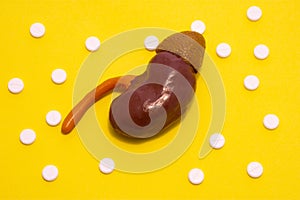 Anatomical realistic figure or model of human or animal kidney on yellow background, surrounded by white tablets or pills, which a